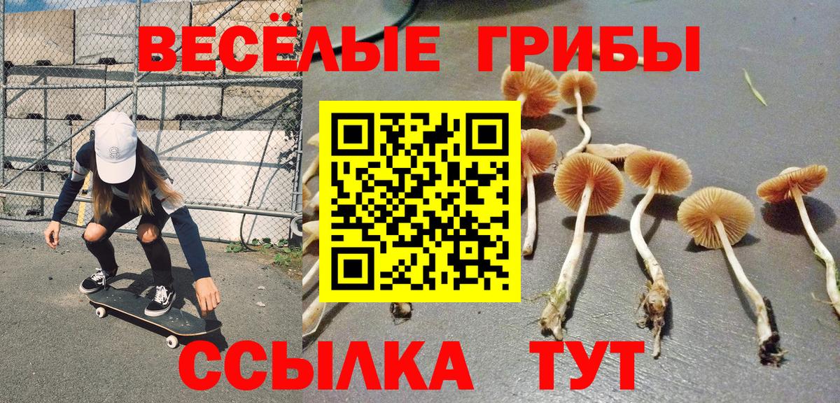 Галлюциногенные грибы ЛСД  Вход с VPN  цена   Новочебоксарск 